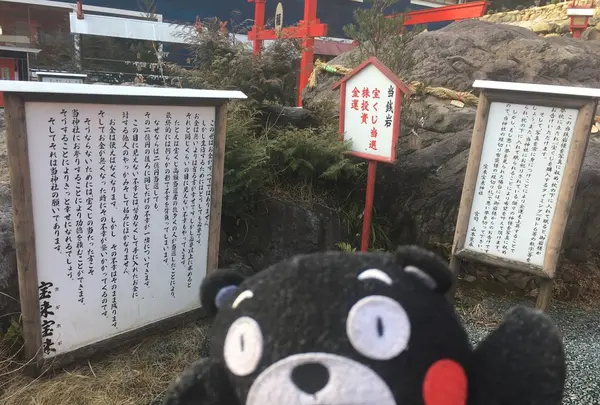 宝来宝来神社の写真・動画_image_122305