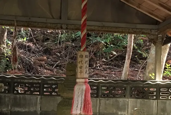 曼荼羅のみち 〔熊野古道〕の写真・動画_image_122350