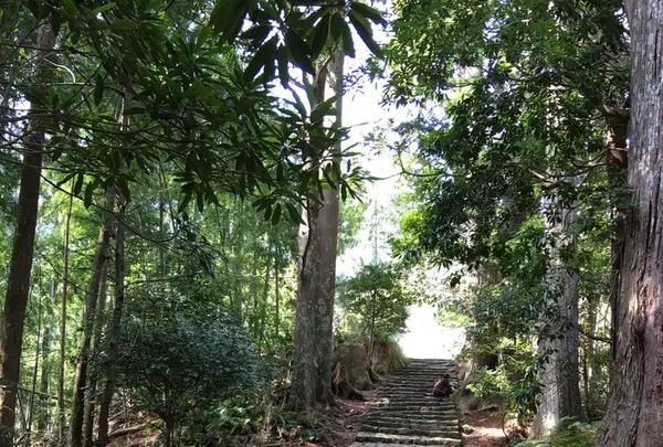 熊野古道大門坂の写真・動画_image_122355