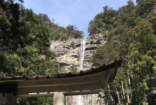 那智の滝の写真・動画_image_122358