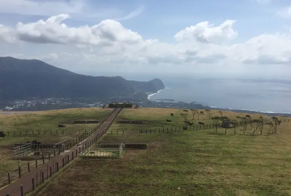 八丈富士牧野・ふれあい牧場の写真・動画_image_122380