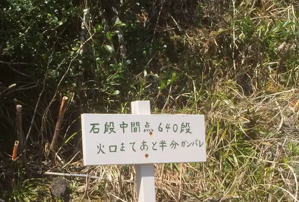 八丈富士の写真・動画_image_122392