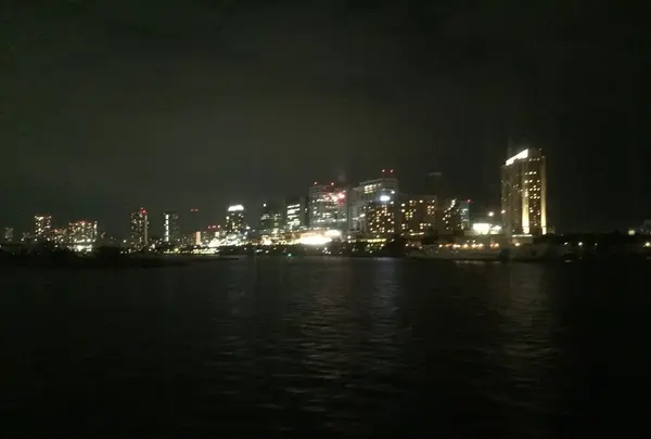 竹芝桟橋の写真・動画_image_122402