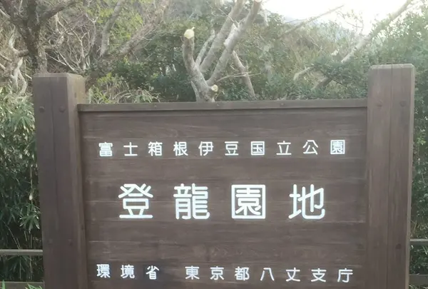 登龍峠展望台の写真・動画_image_122420