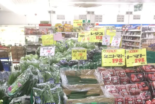 八丈ストアの写真・動画_image_122424
