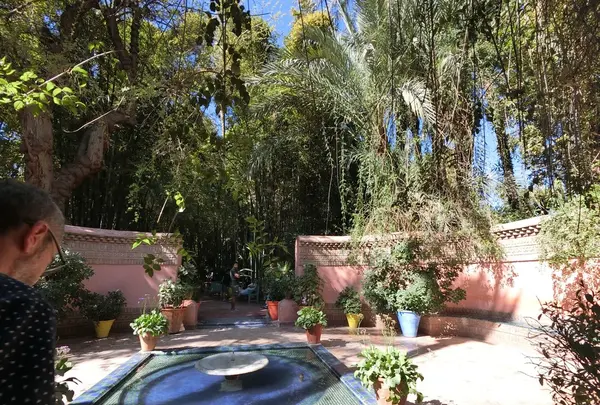 ジャーディン・マヨレルの写真・動画_image_122448