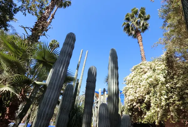 ジャーディン・マヨレルの写真・動画_image_122449