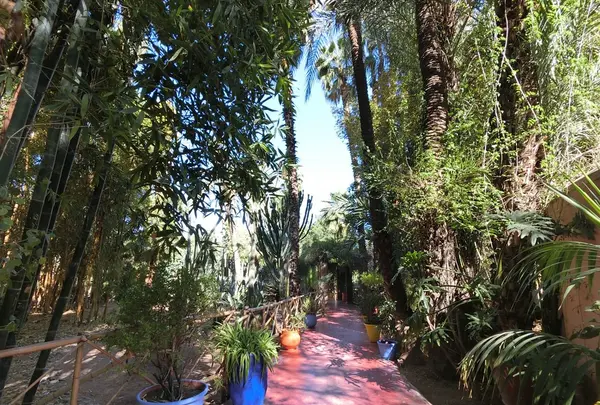 ジャーディン・マヨレルの写真・動画_image_122450