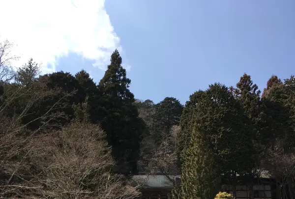 常福寺 東北三十六不動霊場三十六番札所の写真・動画_image_122455