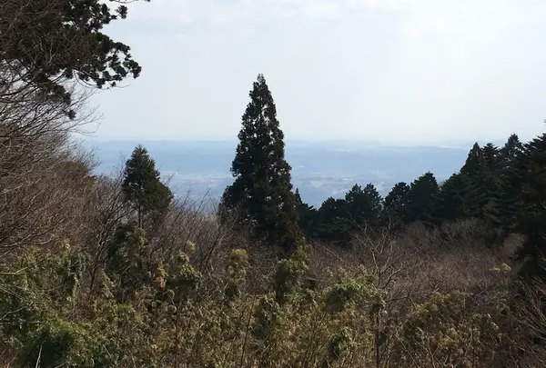 常福寺 東北三十六不動霊場三十六番札所の写真・動画_image_122456