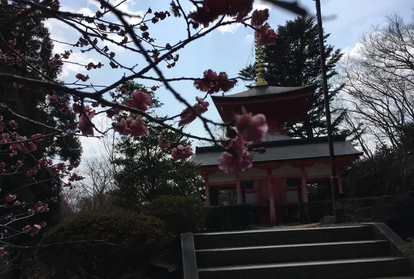 常福寺 東北三十六不動霊場三十六番札所の写真・動画_image_122458
