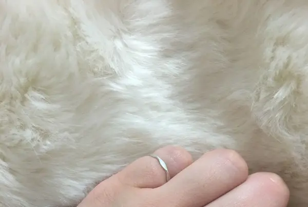 gram（グラム）の写真・動画_image_122473