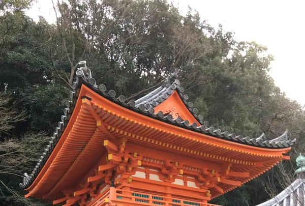 紀三井寺の写真・動画_image_122504