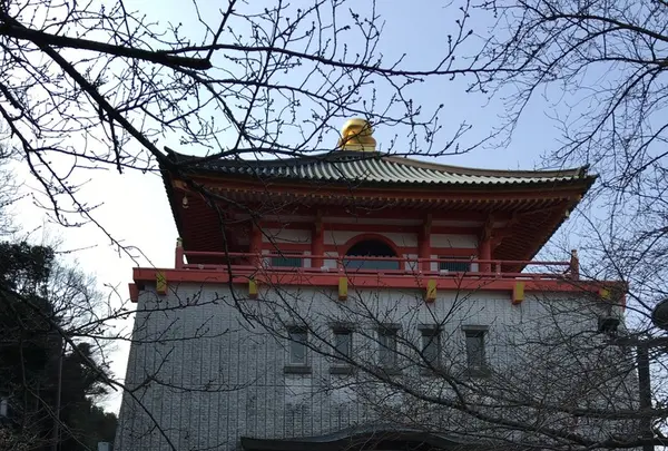 紀三井寺の写真・動画_image_122507