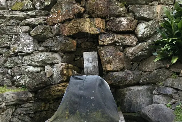 紀三井寺の写真・動画_image_122509