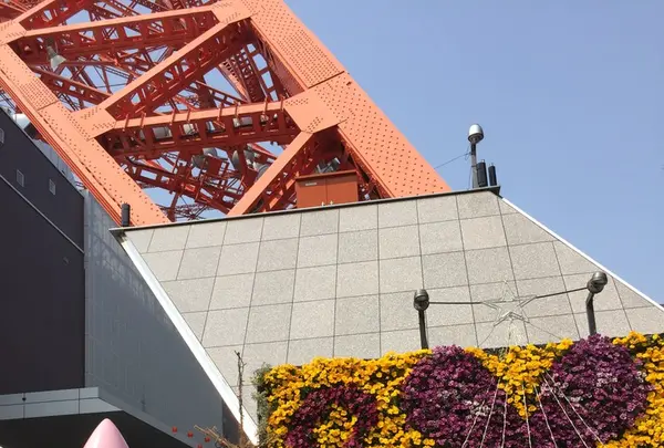 東京タワーの写真・動画_image_122584