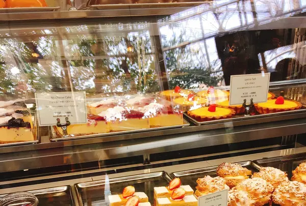 芝公園の写真・動画_image_122591