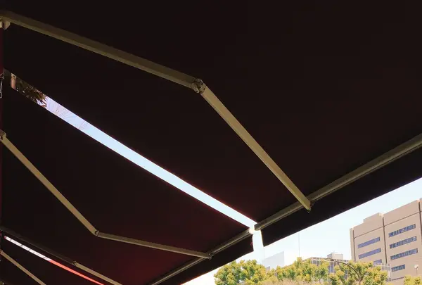 芝公園の写真・動画_image_122593