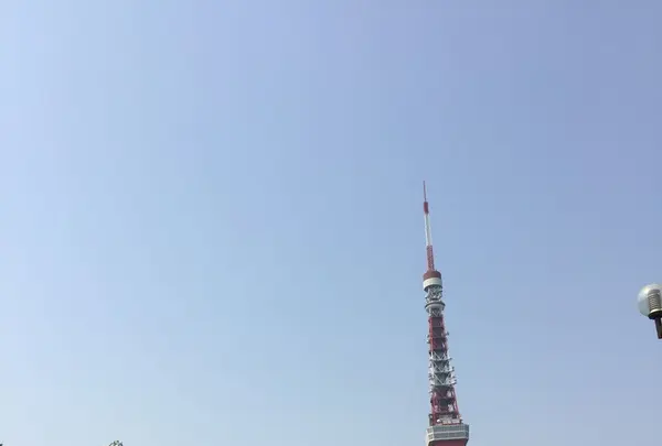 芝公園の写真・動画_image_122594