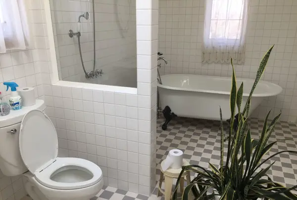 【閉業】チョコの写真・動画_image_122611