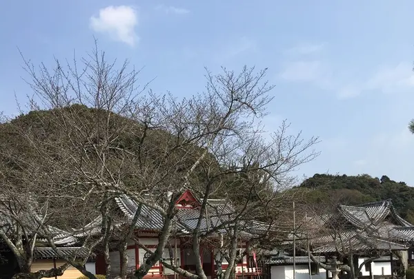 粉河寺の写真・動画_image_122669