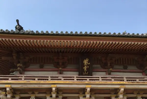 葛井寺の写真・動画_image_122685