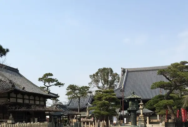 葛井寺の写真・動画_image_122688