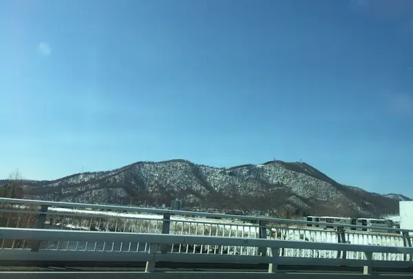 豊平川の写真・動画_image_122704