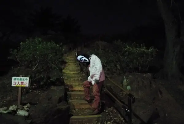 箱根山の写真・動画_image_122726