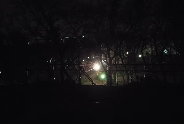 箱根山の写真・動画_image_122728