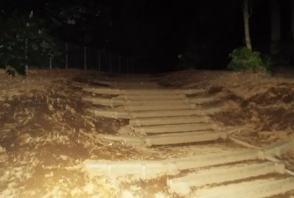 江古田の森公園の写真・動画_image_122729