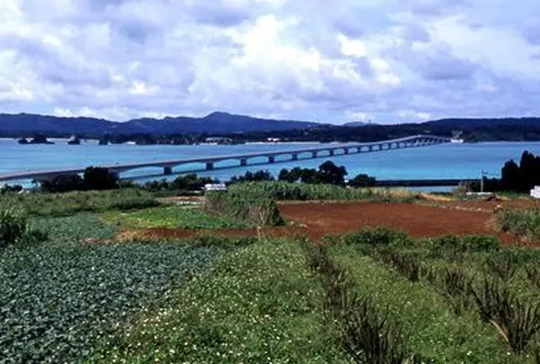 古宇利島の写真・動画_image_122744