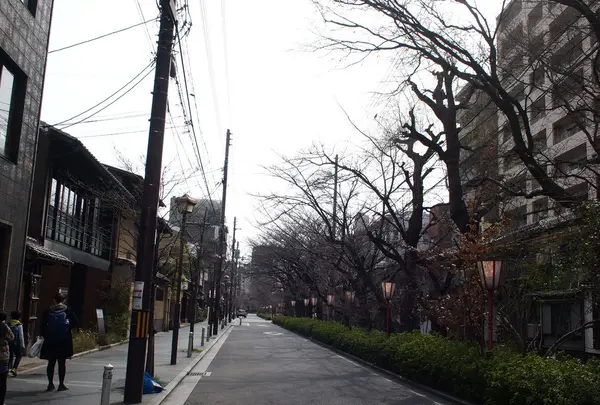 高瀬川の写真・動画_image_122898