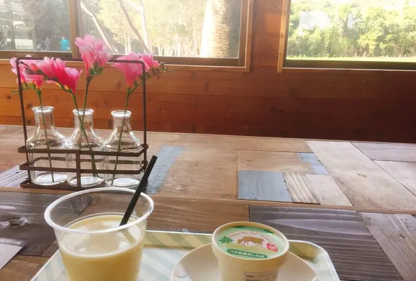 八形山フリージア畑の写真・動画_image_122905