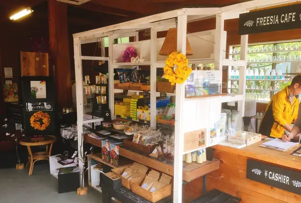 八形山フリージア畑の写真・動画_image_122908