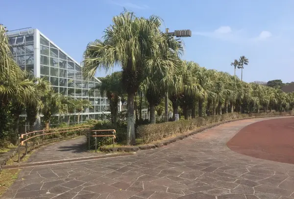 八丈植物公園の写真・動画_image_122920