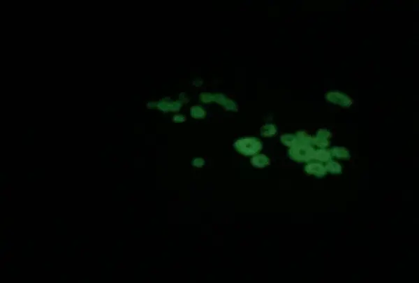 八丈ビジターセンターの写真・動画_image_122982