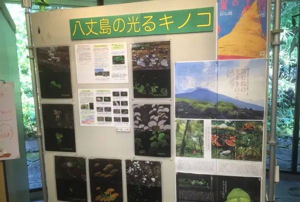 八丈ビジターセンターの写真・動画_image_122984