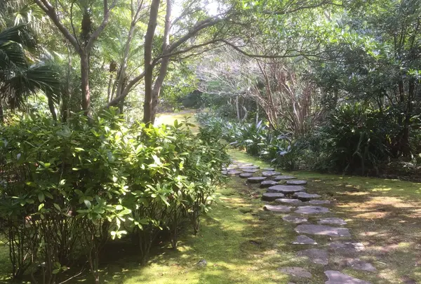 八丈植物公園の写真・動画_image_122987