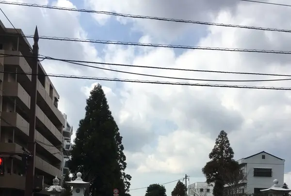 健軍神社の写真・動画_image_123011