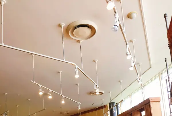 芝公園の写真・動画_image_123034