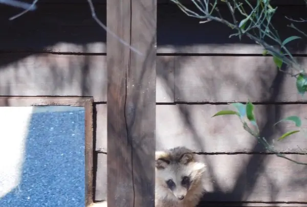 到津の森公園の写真・動画_image_123039