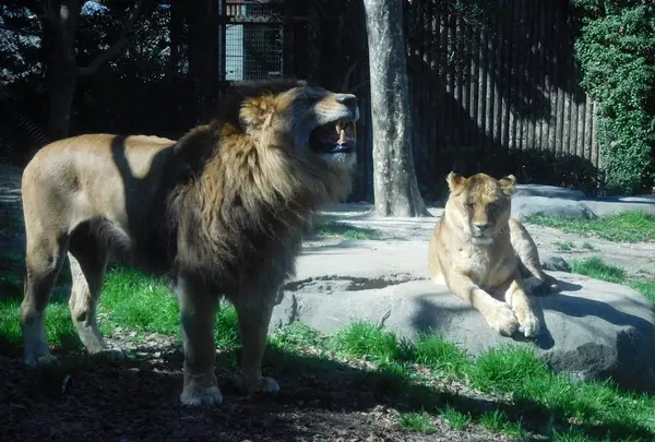 到津の森公園の写真・動画_image_123041