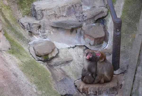 到津の森公園の写真・動画_image_123042