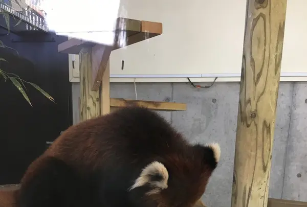 到津の森公園の写真・動画_image_123043