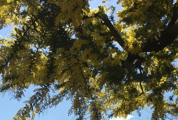 到津の森公園の写真・動画_image_123044