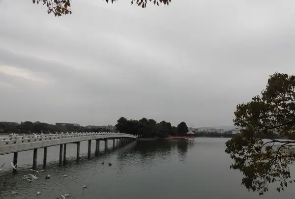 大濠公園の写真・動画_image_123151
