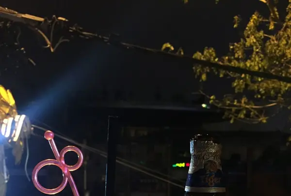 Golden Pine Pubの写真・動画_image_123334