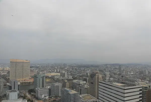 福岡タワーの写真・動画_image_123358