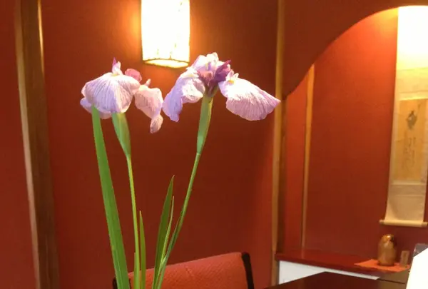 とうふ屋 うかい 鷺沼店の写真・動画_image_123463